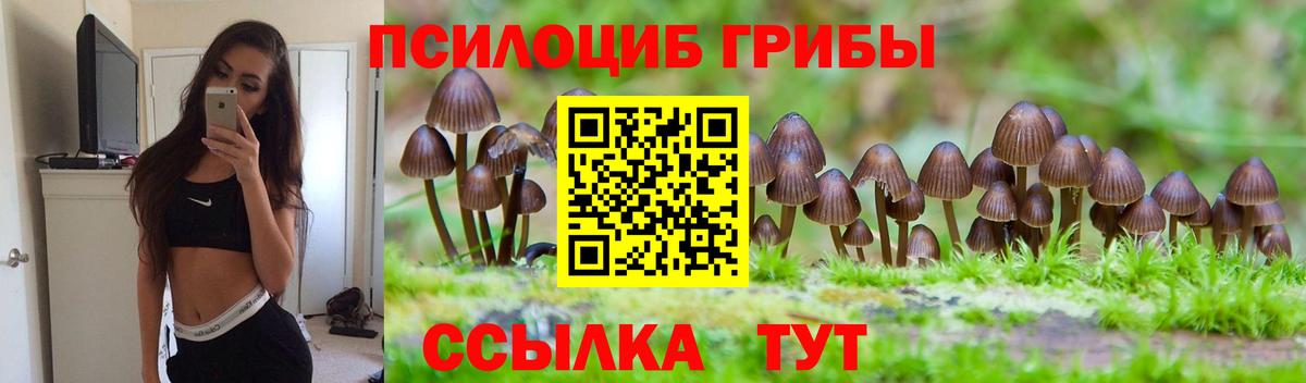 Галлюциногенные грибы мицелий  Галлюциногенные грибы GOLDEN TEACHER  дарнет шоп  Вход с VPN  Чапаевск 