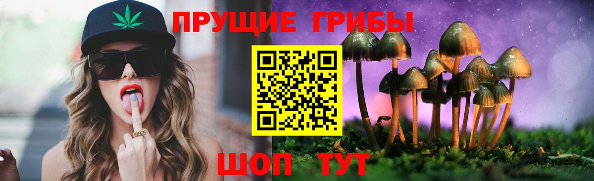 Псилоцибиновые грибы прущие грибы Чапаевск